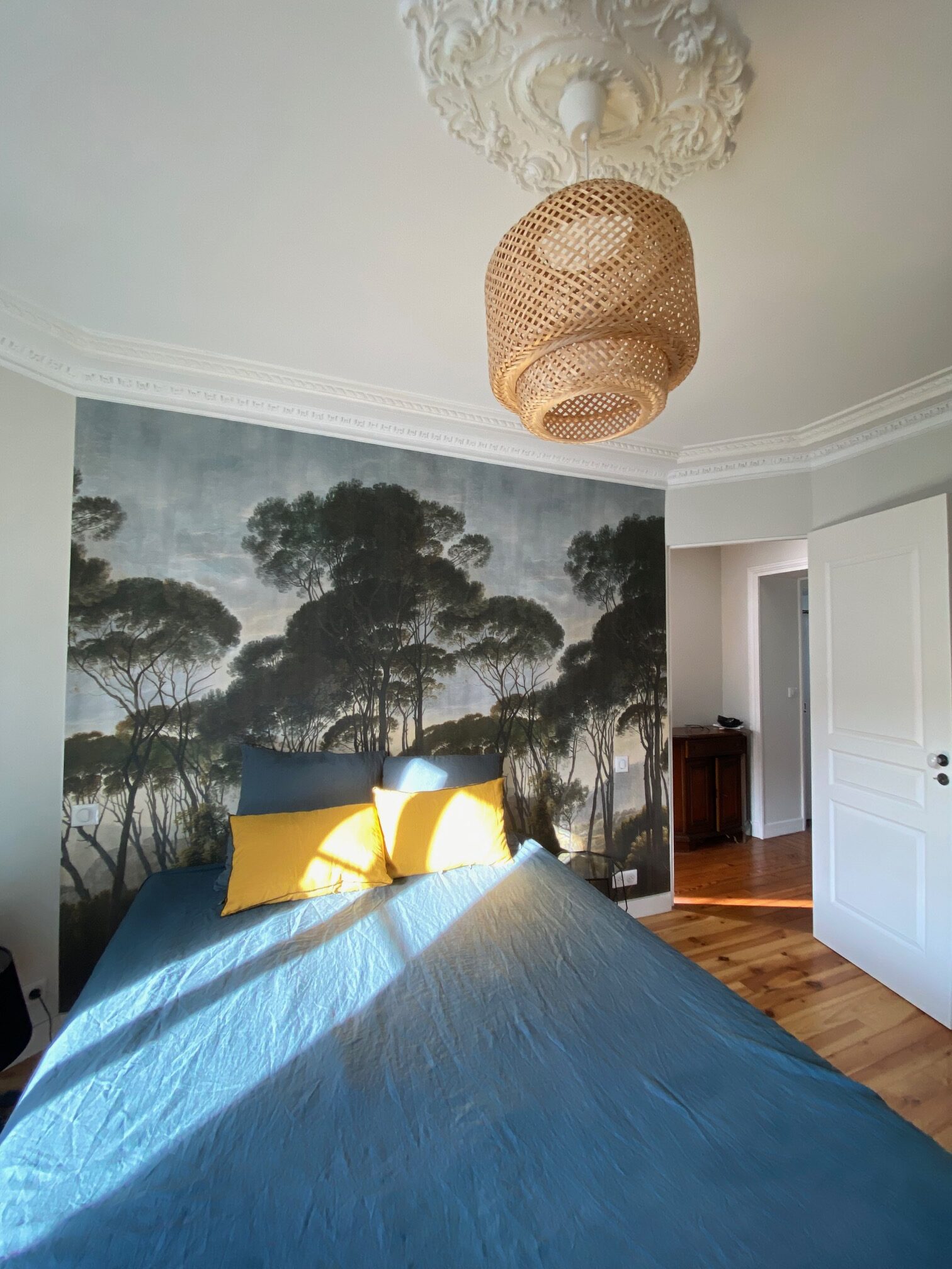Rénovation Décoration Sèvres